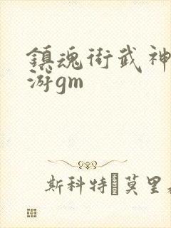 镇魂街武神躯手游gm