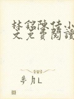 林铭陈佳小说全文免费阅读最新章节封面