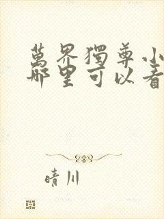 万界独尊小说在哪里可以看完整版封面