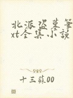 北派盗墓笔记txt全集小说