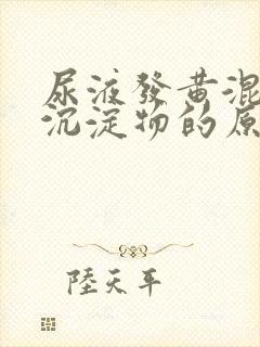 尿液发黄混浊有沉淀物的原因