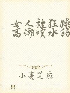 女人被狂躁c到高潮喷水的原封面