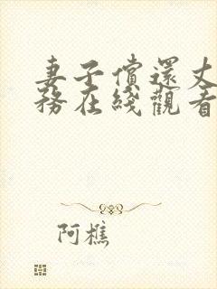 妻子偿还丈夫债务在线观看