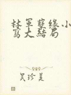 林军孽缘小说续写大结局