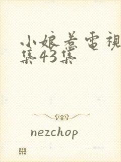 小娘惹电视剧全集43集封面