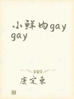 小鲜肉gay gay