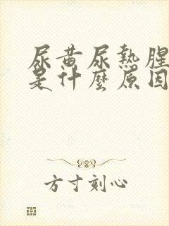 尿黄尿热腥臭味是什么原因封面