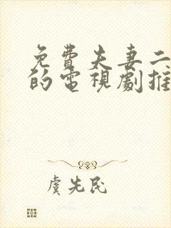 免费夫妻二人看的电视剧推荐