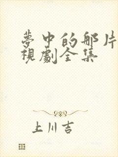 梦中的那片海电视剧全集