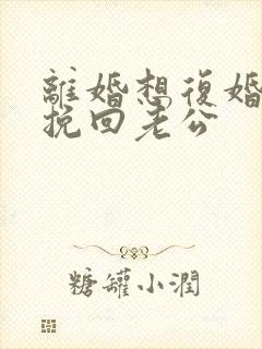 离婚想复婚怎么挽回老公封面