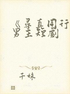 《寻真同行》双男主短剧封面