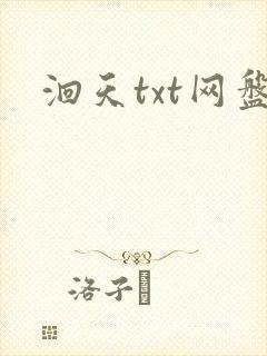 洄天txt网盘