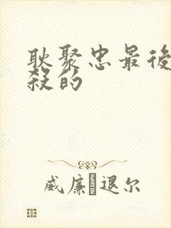 耿聚忠最后被谁杀的封面