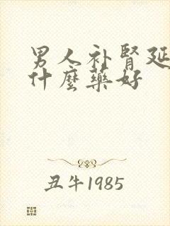 男人补肾延时吃什么药好