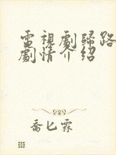 电视剧归路分集剧情介绍封面