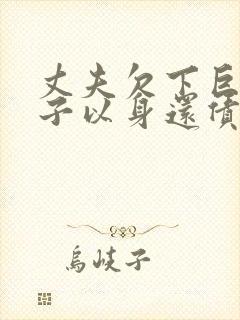 丈夫欠下巨债妻子以身还债电影封面