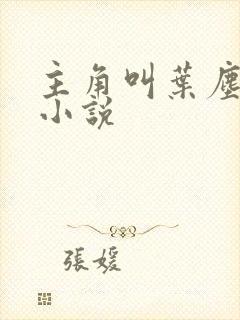 主角叫叶尘玄幻小说