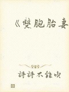 《双胞胎妻子》