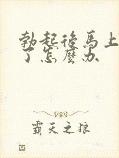 勃起后马上又软了怎么办封面