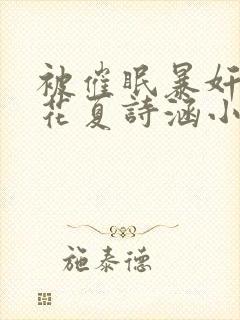 被催眠暴奸的校花夏诗涵小说