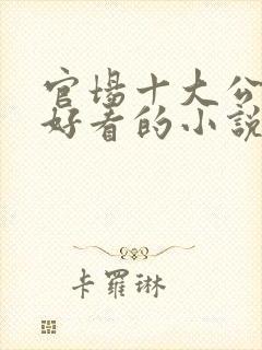 官场十大公认最好看的小说