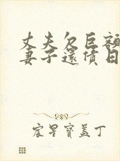 丈夫欠巨额债务妻子还债日剧