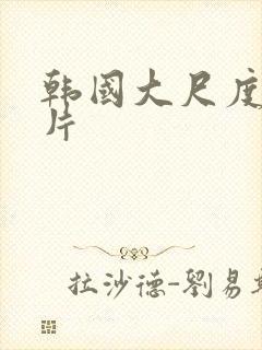 韩国大尺度床戏片