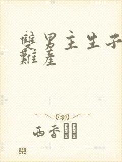 双男主生子虐文难产