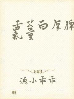 舌苔白厚脾虚湿气重