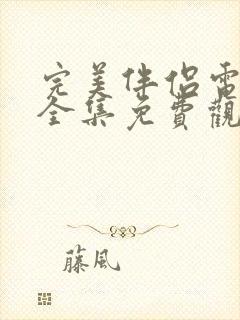 完美伴侣电视剧全集免费观看下载