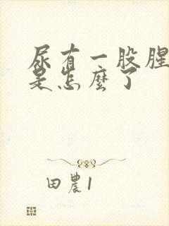 尿有一股腥臭味是怎么了