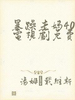 暴躁老妈40集电视剧免费播放