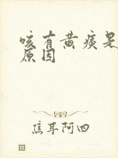 咳有黄痰是什么原因封面