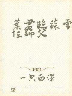 叶君临苏雪儿九位师父