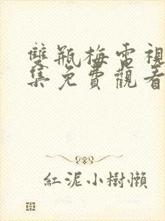 双瓶梅电视剧全集免费观看完整版