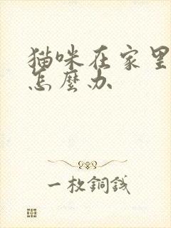 猫咪在家里乱尿怎么办