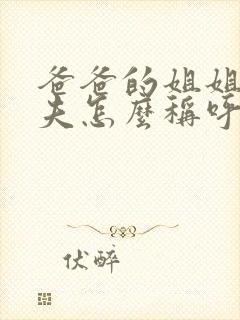 爸爸的姐姐的丈夫怎么称呼封面