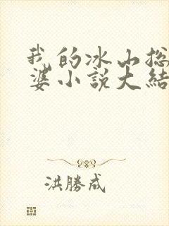我的冰山总裁老婆小说大结局