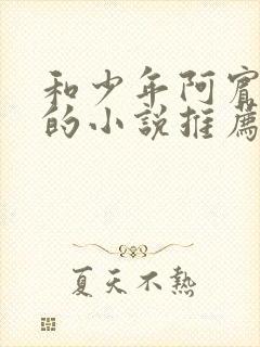 和少年阿宾类似的小说推荐