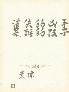 消失的凶手玲玲是谁的孩子