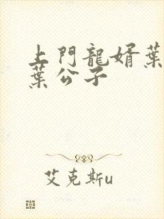 上门龙婿叶辰 叶公子