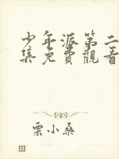 少年派第二季全集免费观看