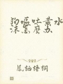 狗呕吐黄水带泡沫怎么办