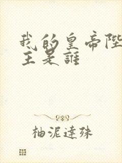 我的皇帝陛下男主是谁