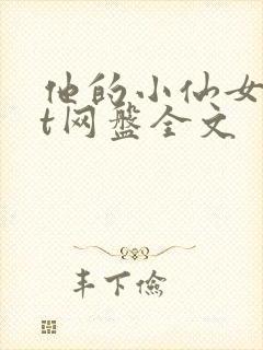 他的小仙女txt网盘全文