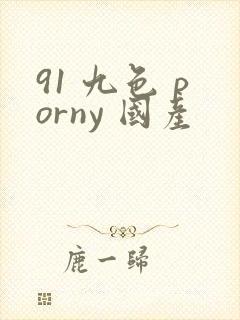 91 九色 porny 国产