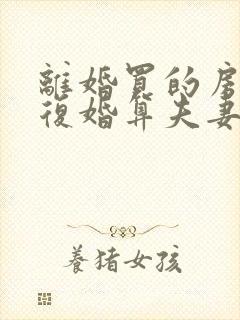 离婚买的房子又复婚算夫妻共同财产吗