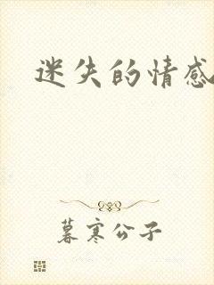 迷失的情感全集