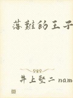 落难的王子封面