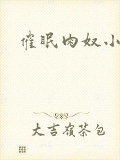 催眠肉奴小说封面